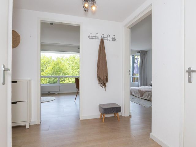 Kaap Hoorn 21, Hoorn