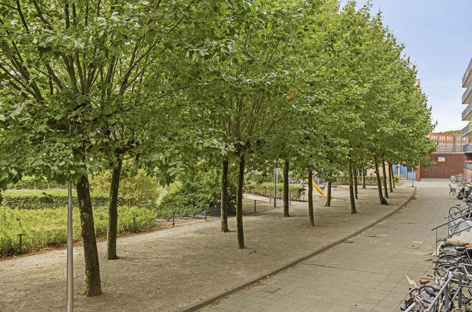 Spangesekade 41A