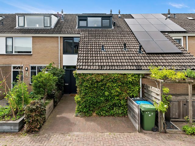 Botting 8, Maasland