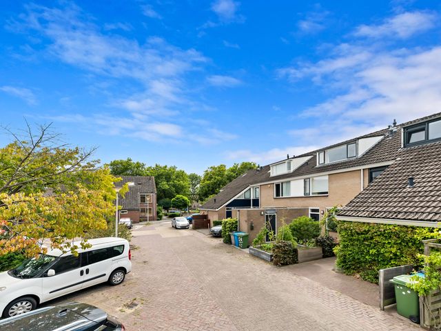 Botting 8, Maasland
