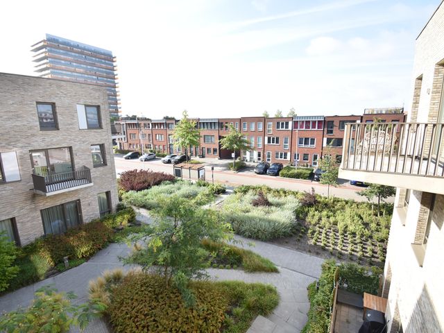 Ponte di Rialto 38, Purmerend