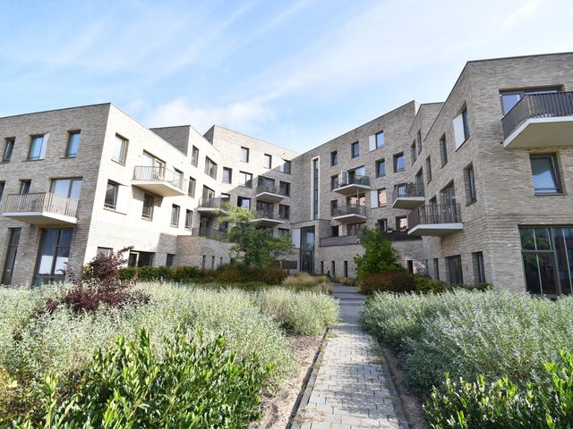 Ponte di Rialto 38, Purmerend