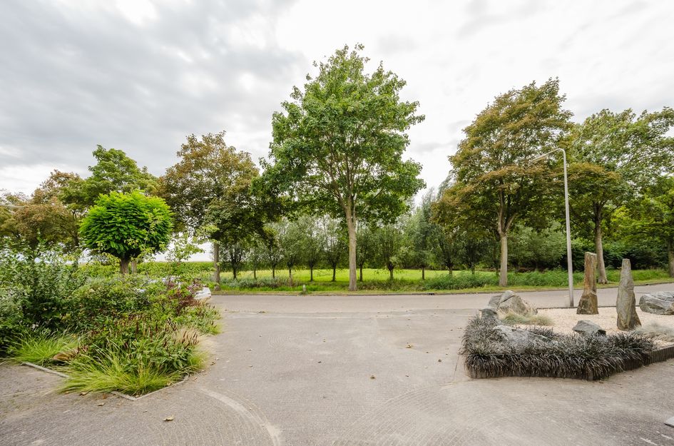 Groede 24