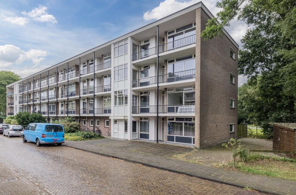 De Reiger 203