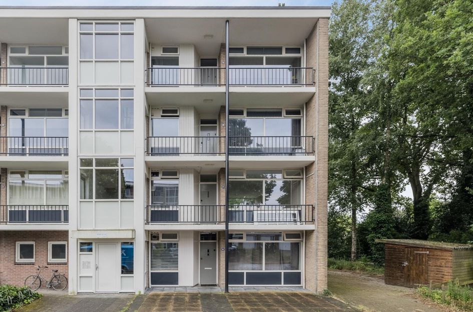 De Reiger 203