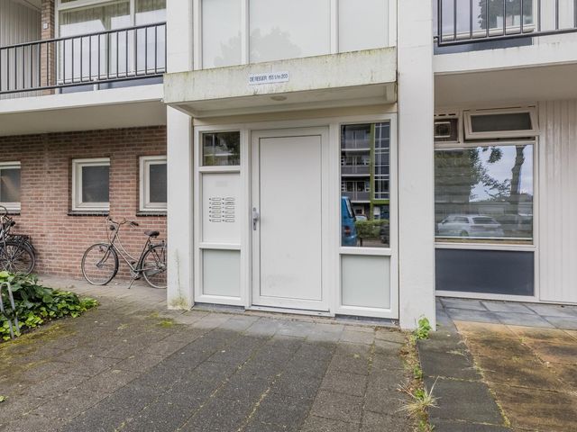De Reiger 203, Hoogeveen