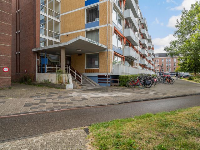 Haagweg 130, Leiden