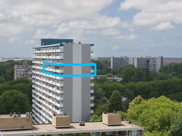 Menno Ter Braaklaan 223, Delft