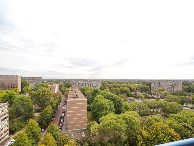 Menno Ter Braaklaan 223, Delft