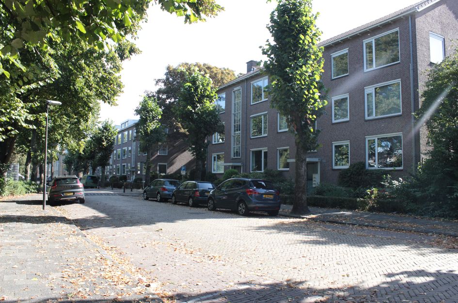 Tulpstraat 4