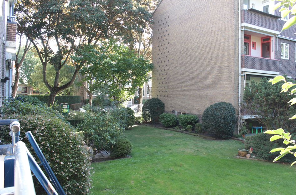 Tulpstraat 4
