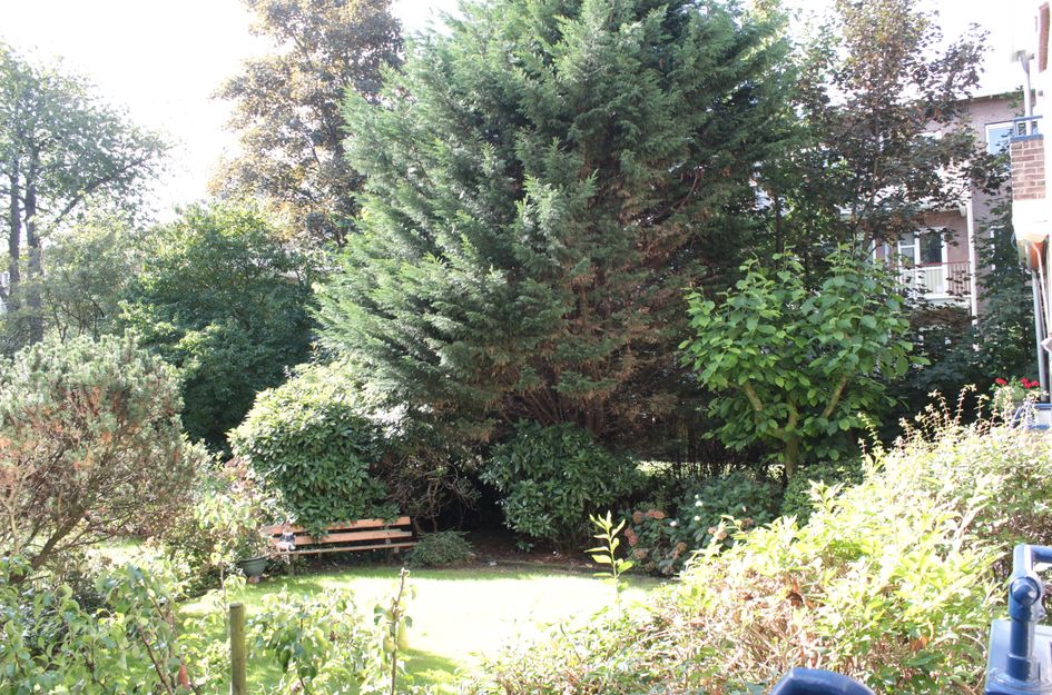 Tulpstraat 4