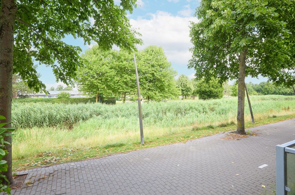 Nabuccosingel 1