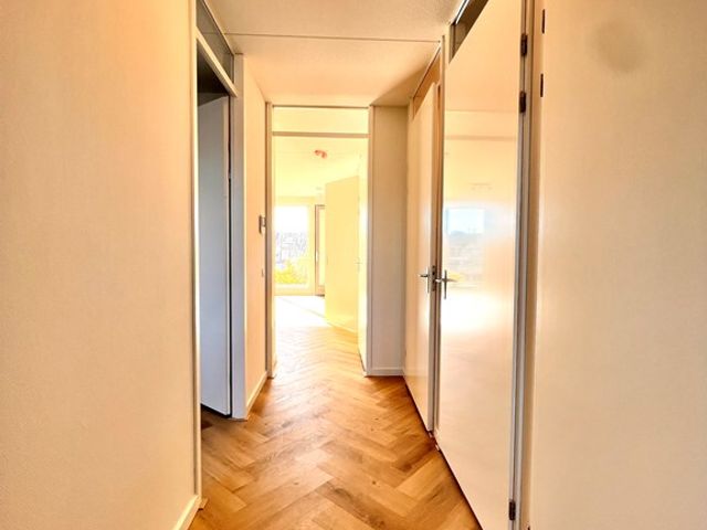 Roentgenstraat 143, Rotterdam
