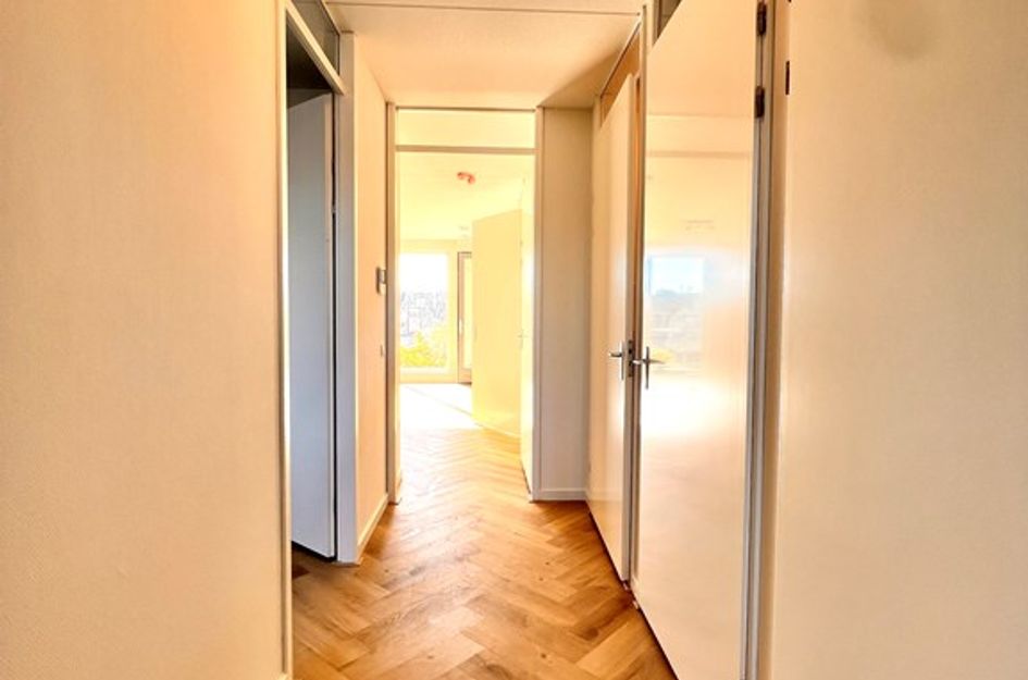 Roentgenstraat 143