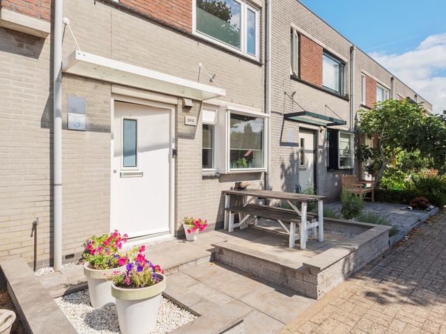 Hosta 3, Noordwijkerhout