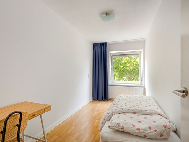 Cornelis Houtmanplein 19, Maasdijk