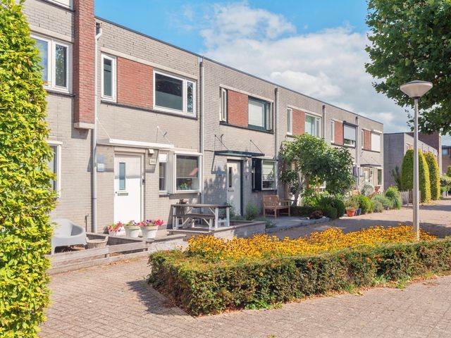 Hosta 3, Noordwijkerhout