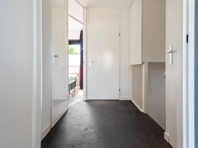 Hosta 3, Noordwijkerhout