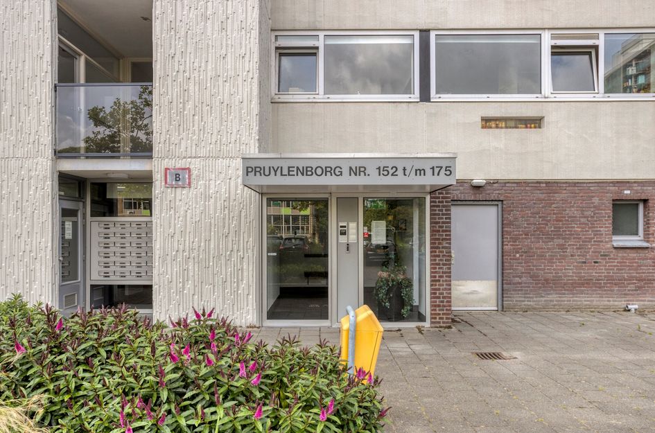 Pruylenborg 164