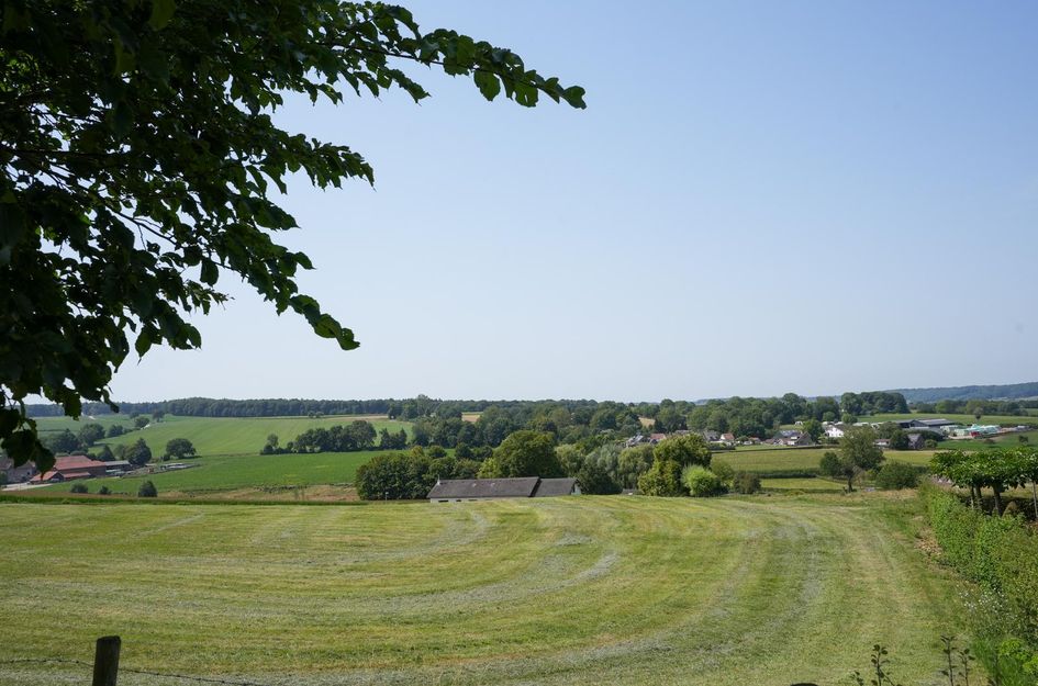 Vijlenberg 181
