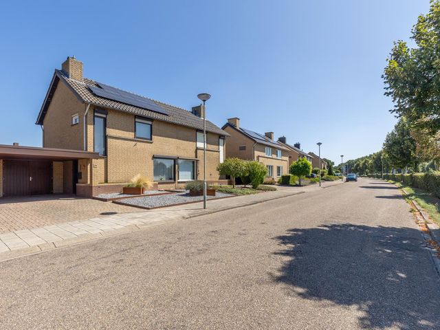Mispelboom 24, Holtum