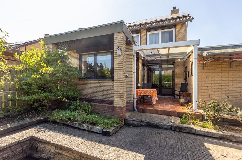 Mispelboom 24
