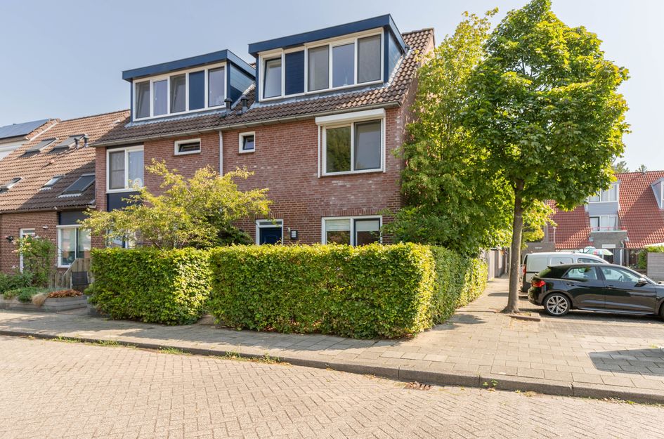 Dotterbloem 14