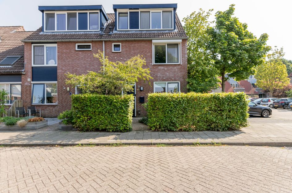 Dotterbloem 14