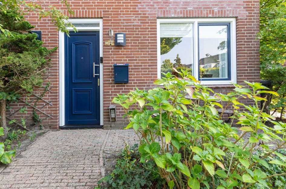Dotterbloem 14