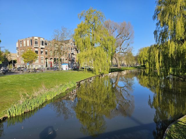 Lumeystraat 19BGL, Rotterdam