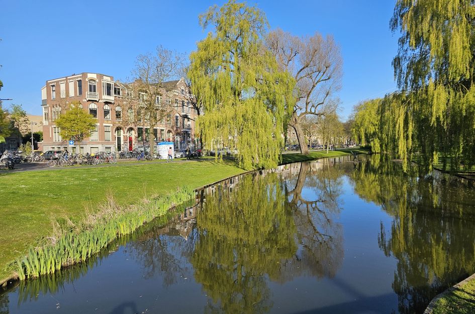 Lumeystraat 19BGL