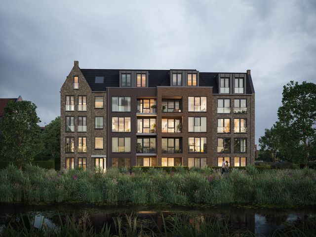 B Terras , Hulst