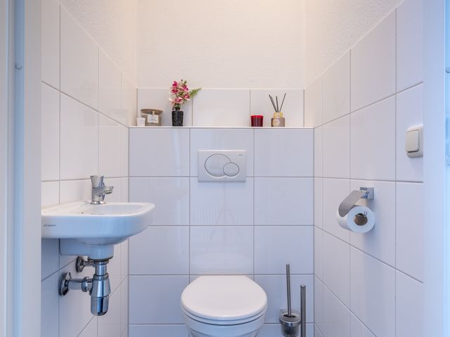 Aurelia 4, Holten