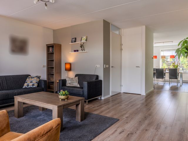 Aurelia 4, Holten