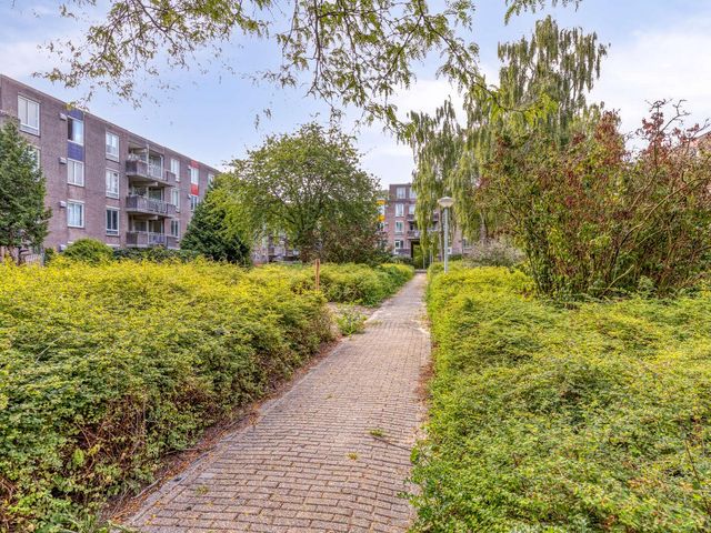 Barbusselaan 295, Amsterdam