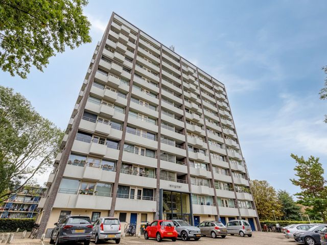 Roggekamp 273, Den Haag