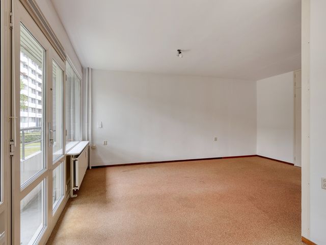 Roggekamp 273, Den Haag
