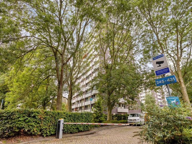 Roggekamp 273, Den Haag
