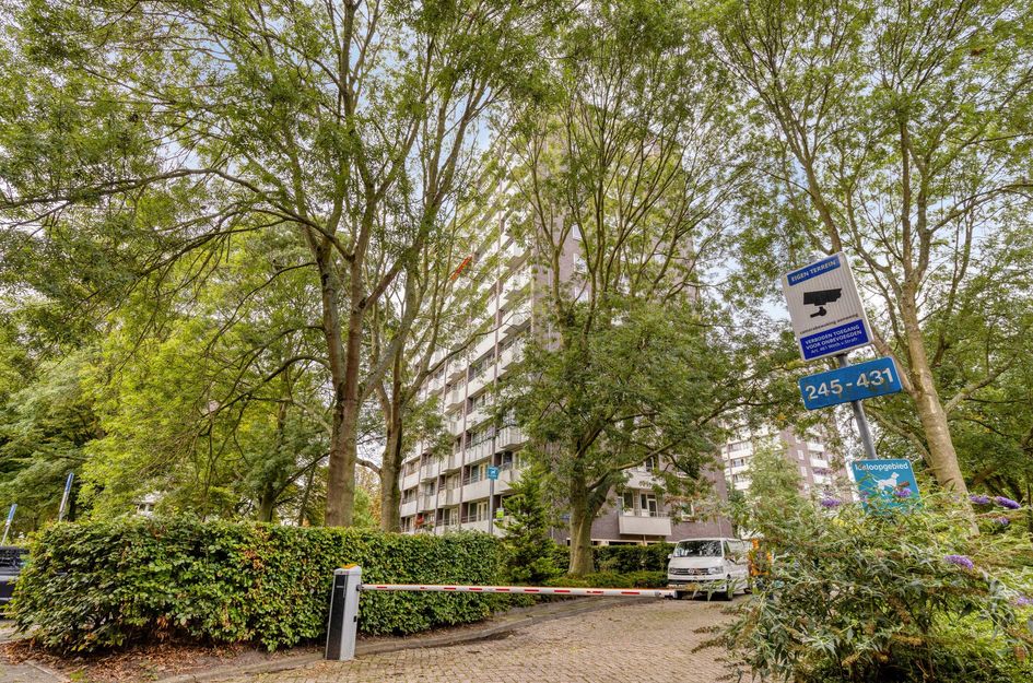 Roggekamp 273