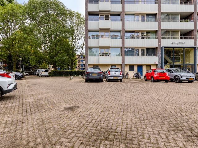 Roggekamp 273, Den Haag