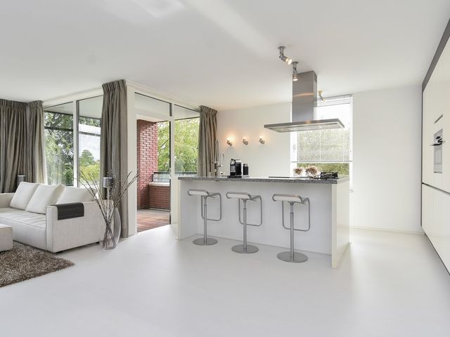 Thorbeckelaan 334D, 's-Gravenhage