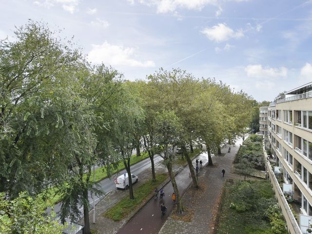 Thorbeckelaan 334D, 's-Gravenhage