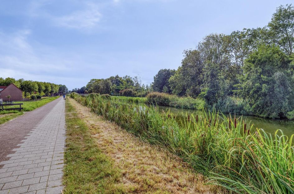 Buizerdveld 151