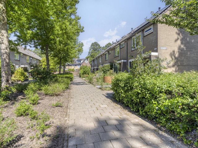 Hazelaarstraat 97, Puttershoek