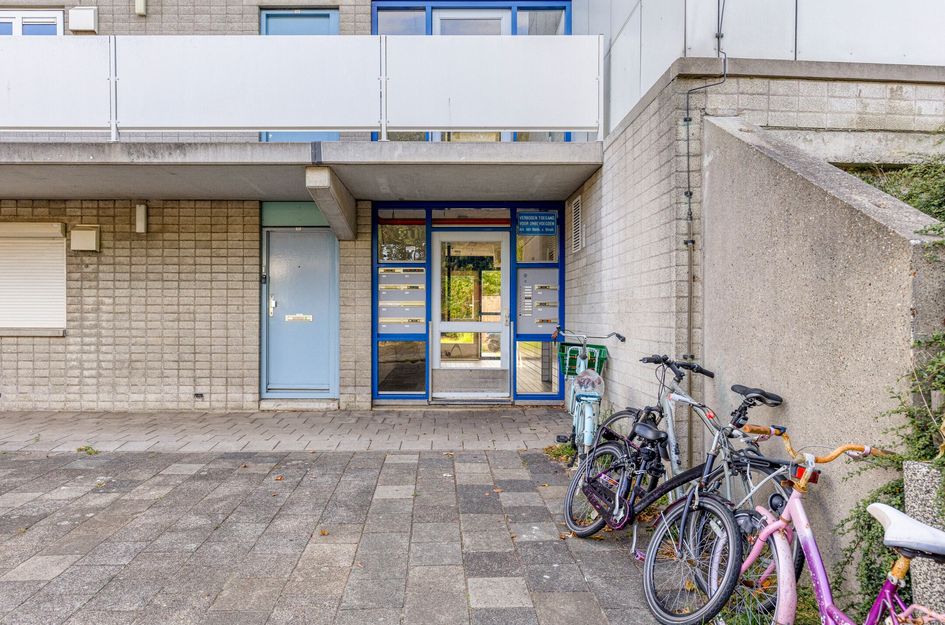 Celsiusstraat 15
