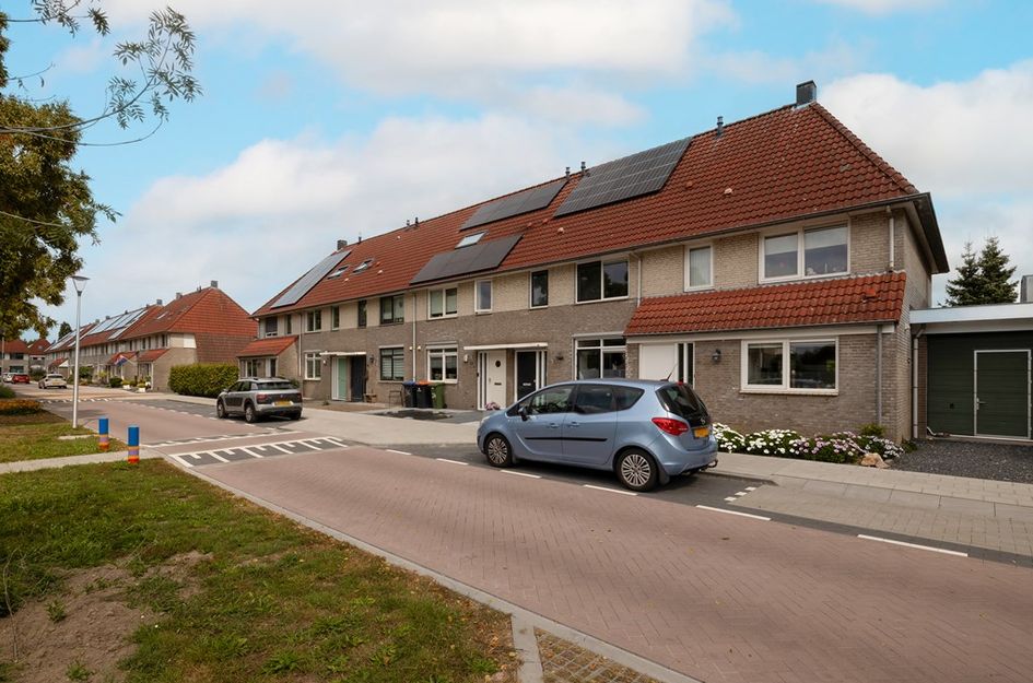 Molenlaan 38