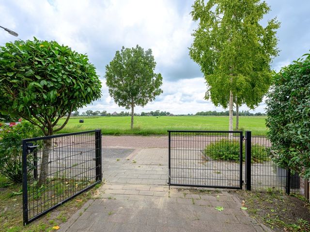 Citroengras 17, De Goorn