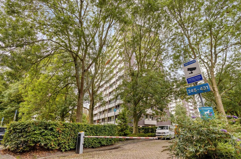 Roggekamp 273