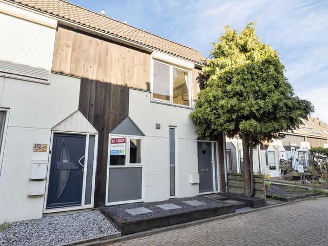 Kanariesprenk 255, Vlissingen